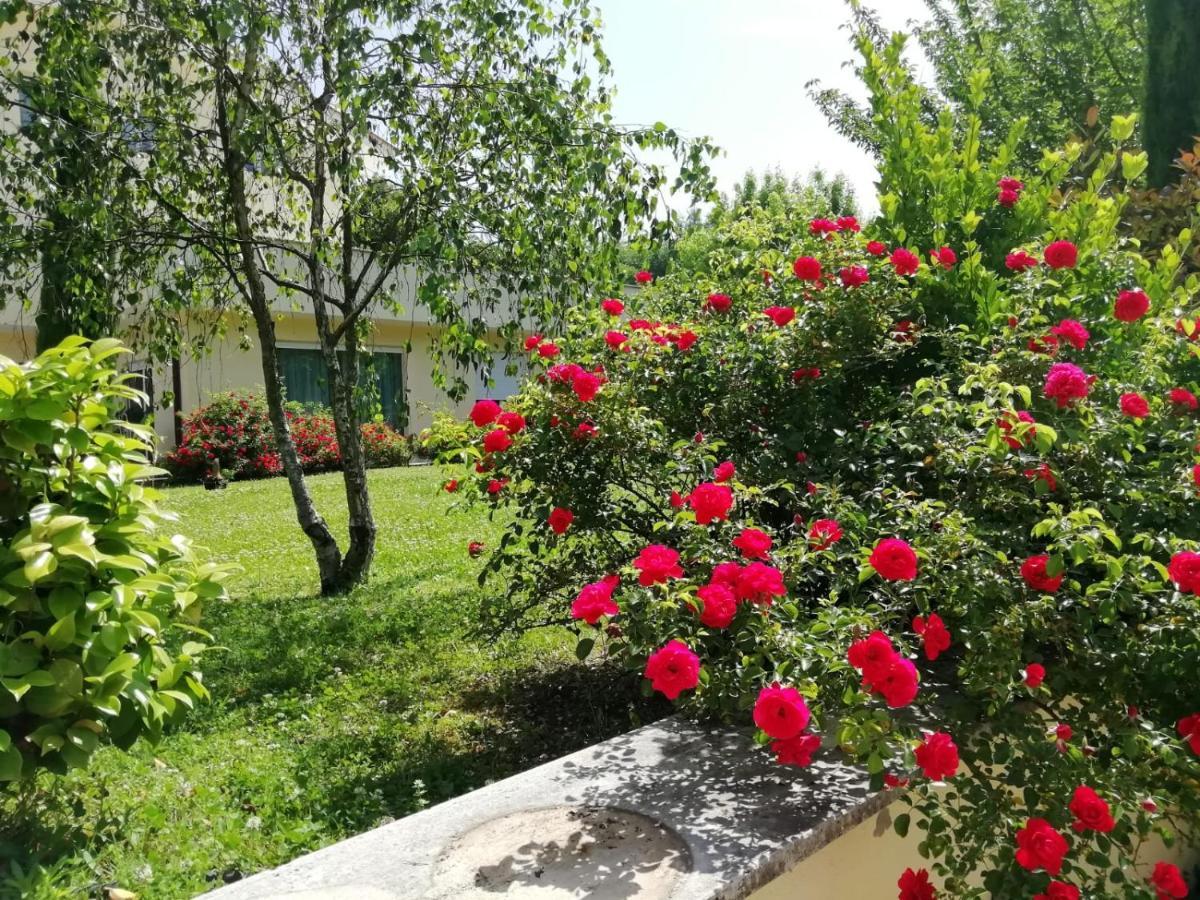 B&B Terra Del Sole Valmontone Eksteriør bilde